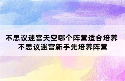 不思议迷宫天空哪个阵营适合培养 不思议迷宫新手先培养阵营